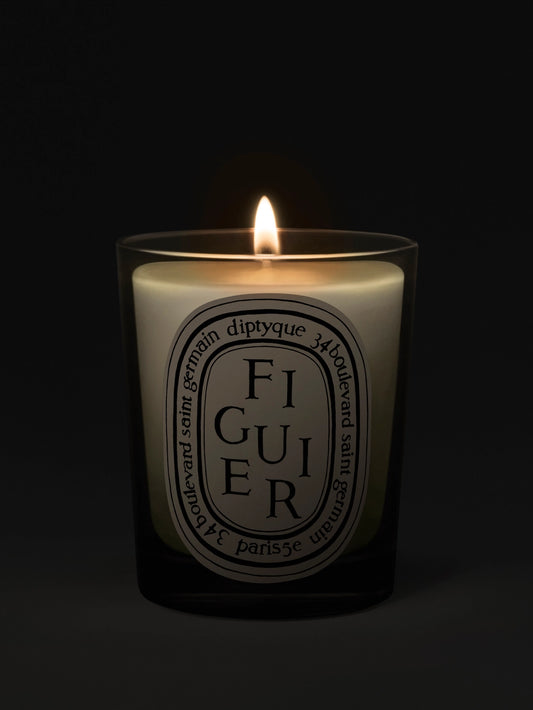 Figuier (Fig Tree) Classic Candle 190G