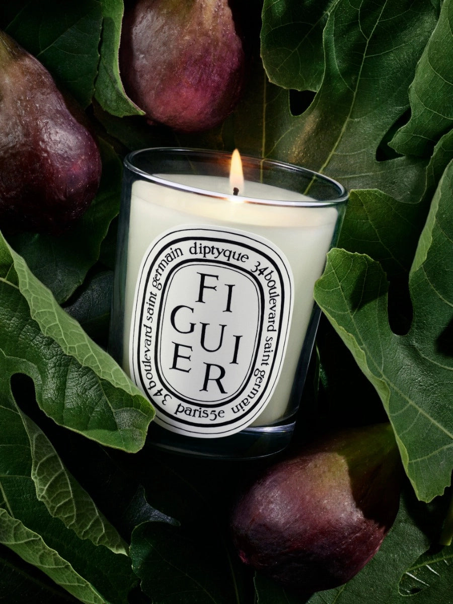 Figuier (Fig Tree) Small Candle 70G